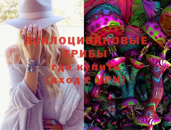 прущие грибы Белокуриха