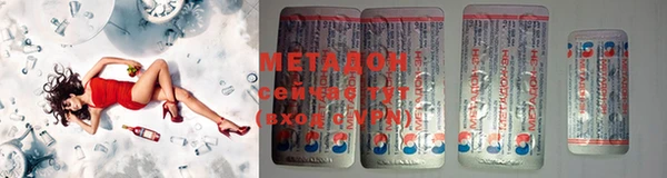 прущие грибы Белокуриха