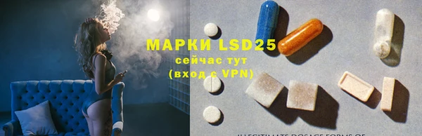 прущие грибы Белокуриха