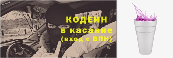 прущие грибы Белокуриха