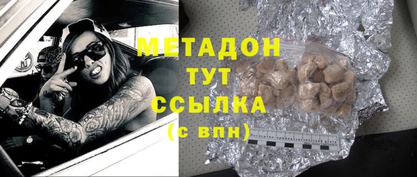 прущие грибы Белокуриха
