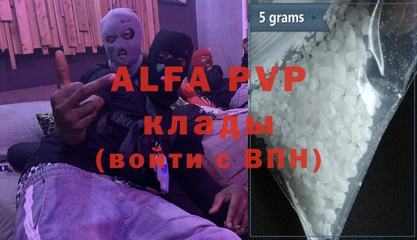 прущие грибы Белокуриха