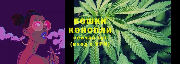 прущие грибы Белокуриха