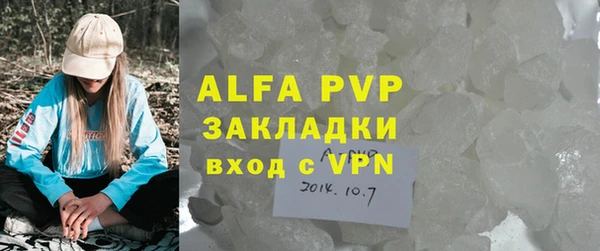 прущие грибы Белокуриха