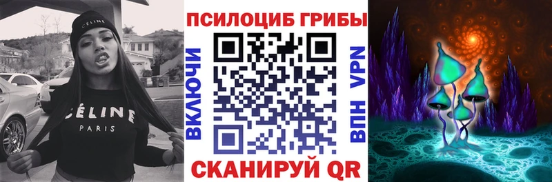 Галлюциногенные грибы GOLDEN TEACHER  закладка  Горняк 